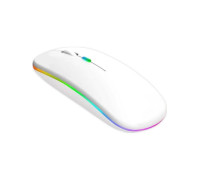 Yeni Nesil Kablosuz ve Bluetooth Mouse RGB102F