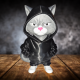 FreeStyle Kedi Figür / Dekor